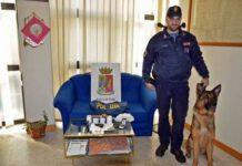 Brindisi, cane adottato da polizia trova droga