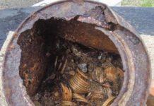 Usa , portano a spasso il cane e trovano 10milioni di monete d oro