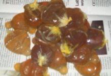 Sequestrati preservativi pieni di cocaina: erano indirizzati al Vaticano