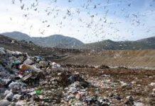 Scoperte e sequestrate tre discariche abusive a Rosarno, Gioia Tauro e San Ferdinando