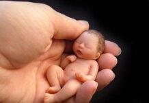 Usa shock, feti bruciati per riscaldare ospedali