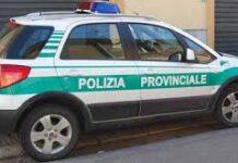 Reggio Calabria, arrestato cinquantottenne per stalking