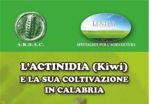 Cittanova, oggi convegno L actinidia (Kiwi) e la sua coltivazione in Calabria