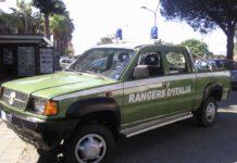 Maltrattamento di animali, uomo denunciato a Reggio Calabria