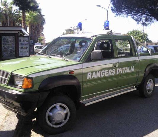 Maltrattamento di animali, uomo denunciato a Reggio Calabria