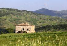 Violenta donna , arrestato nel Foggiano