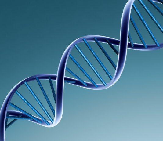 Aveva ucciso anziana a Catanzaro, incastrato grazie a prova dna