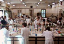 Assessore Caligiuri: nei prossimi due anni oltre mille i giovani ricercatori nelle nostre università