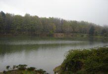 Cittanova, pregiudicato appartenente a famiglia mafiosa spara contro campeggiatori ora è ricercato