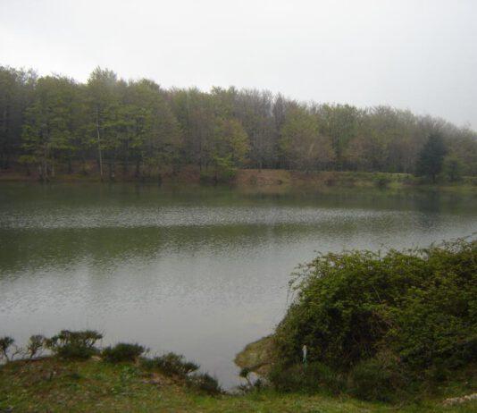 Cittanova, pregiudicato appartenente a famiglia mafiosa spara contro campeggiatori ora è ricercato