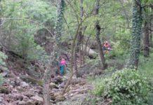 Giocavano a carte invece di lavorare, indagati 11 operai forestali in Calabria