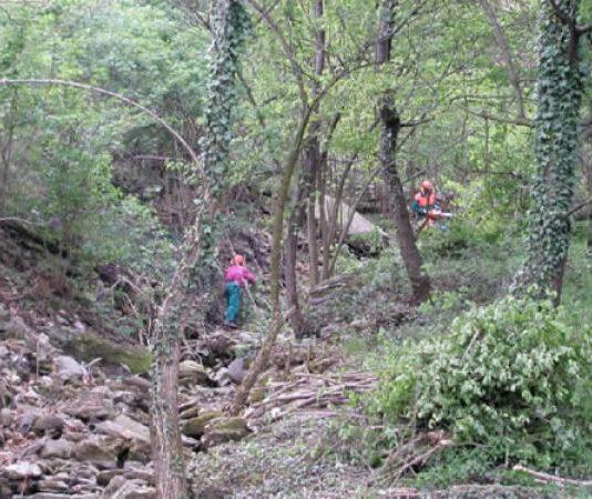 Giocavano a carte invece di lavorare, indagati 11 operai forestali in Calabria