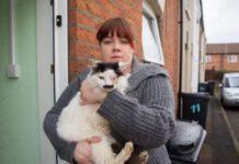 Gatto picchiato e buttato nella spazzatura perchè somiglia ad Hitler