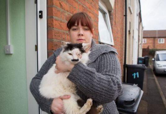 Gatto picchiato e buttato nella spazzatura perchè somiglia ad Hitler