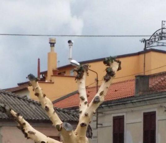 Ancora atti vandalici a Rosarno, il Sindaco invita i cittadini a ribellarsi