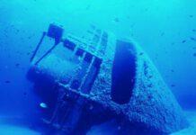 Sequestrati 121 panetti di esplosivo su nave a largo di Saline