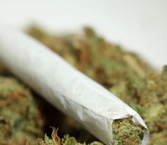 Suocera e genero scoperti con marijuana, arrestati nel cosentino