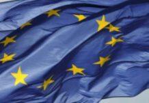 Elezioni europee, tutti i risultati della Piana