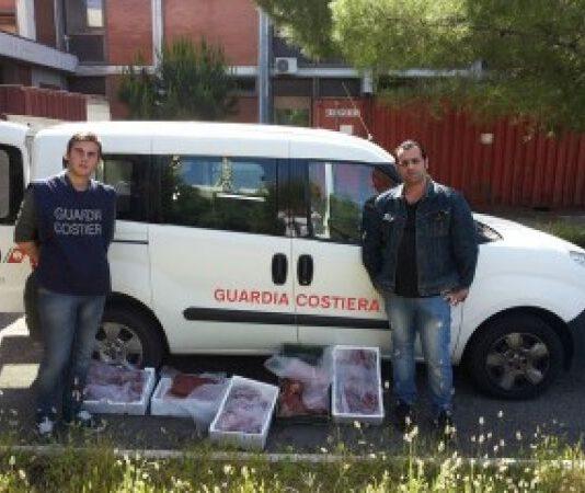 Gioia Tauro, sequestrati 50 chili di tonno rosso
