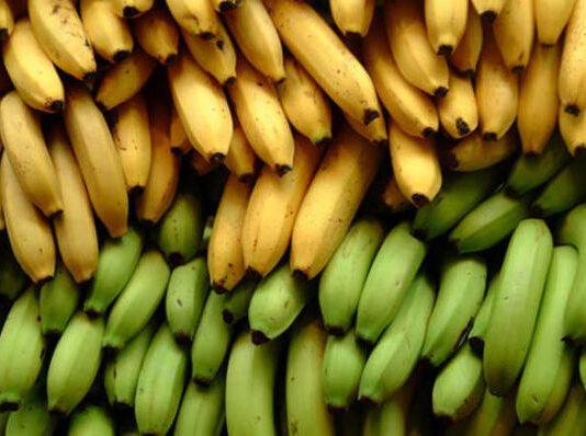 Gioia Tauro, sequestrati 25 chili di cocaina nascosta tra le banane