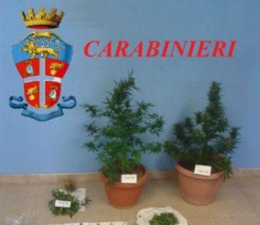 Arresti in provincia di Reggio Calabria per droga, furto ed estorsioni