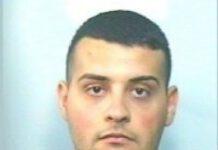 Piantagione di marijuana a Rosarno, arrestato anche Salvatore Rao