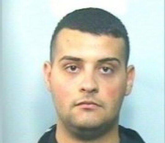 Piantagione di marijuana a Rosarno, arrestato anche Salvatore Rao