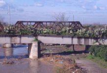 Amministrazioni della Piana si incontrano a Rosarno per riqualificare il fiume Mesima