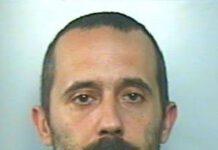 Piantagione di marijuana a Rosarno, due arrestati immediatamente scarcerati