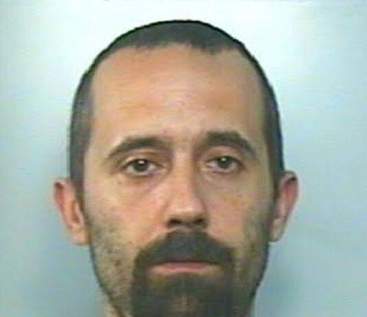 Piantagione di marijuana a Rosarno, due arrestati immediatamente scarcerati