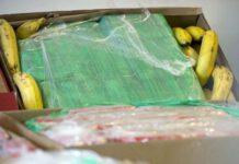 Gioia Tauro, scoperti 100 kg di cocaina nascosti sotto banane