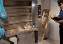 Topi morti vicino a farina, sequestrato panificio in provincia di Reggio Calabria