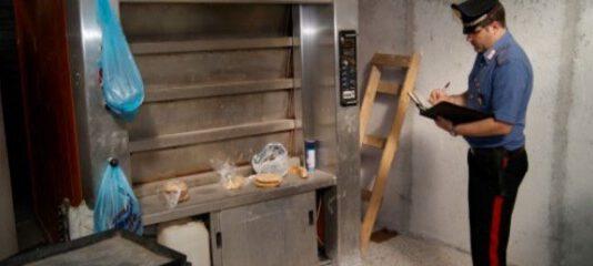 Topi morti vicino a farina, sequestrato panificio in provincia di Reggio Calabria