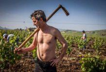 Venerdì “I suoni della vendemmia” con Il Parto delle Nuvole Pesanti