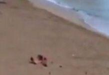Sesso in spiaggia a Gallipoli, i cittadini protestano contro il video hard che sta facendo il giro del web