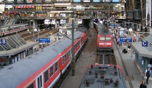 Cadaveri di neonati ritrovati in una valigia