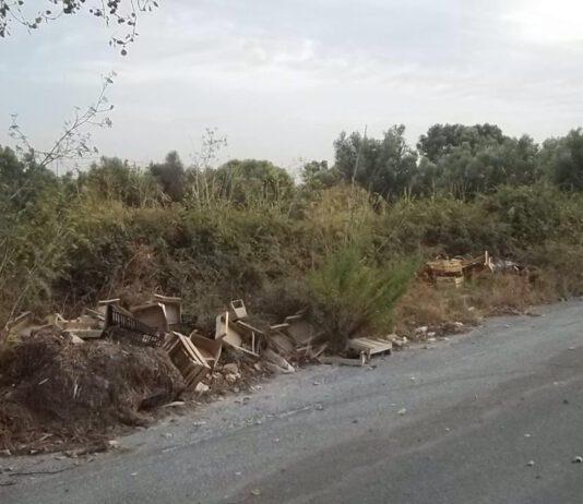Lamezia Ovest, Muraca (CasaPound): Via Pertini rappresentazione plastica del fallimento Speranza