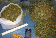 Nascondevano oltre un chilo di droga, arrestati due fratelli nel cosentino