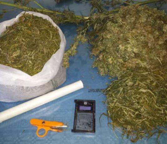 Nascondevano oltre un chilo di droga, arrestati due fratelli nel cosentino