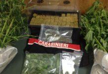 Scoperto vivaio della droga, due arresti nel reggino