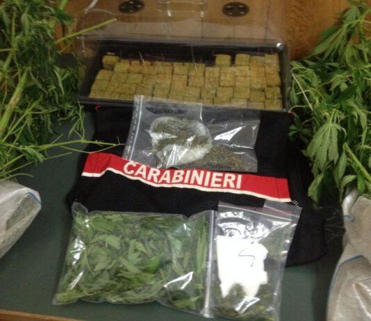 Scoperto vivaio della droga, due arresti nel reggino
