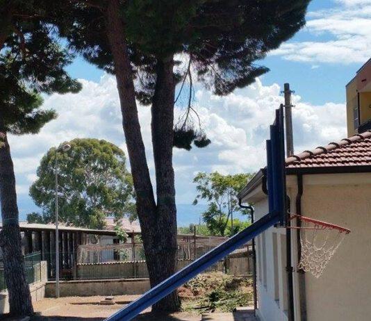 Lamezia, Gianturco (CasaPound): Rami pericolanti e rischio Processionaria in scuole di Capizzaglie. Urge messa in sicurezza