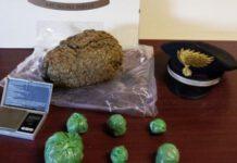 Nascondeva un chilo di droga nel mangime, arrestato spacciatore a Reggio Calabria