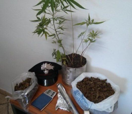 Arrestato giovane pregiudicato nel vibonese, aveva 700 grammi di marijuana