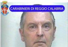 Operazione Eclissi, dopo fermi ritirata la candidatura alle regionali di Fernanda Rombolà