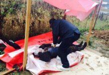 Operai uccidono datore di lavoro , “Non ci pagava lo stipendio da un mese”