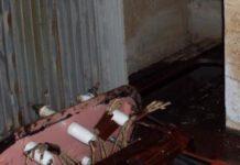 Il Consorzio denuncia: ancora furti e atti vandalici nella Piana