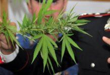 Arrestato spacciatore a Reggio Calabria