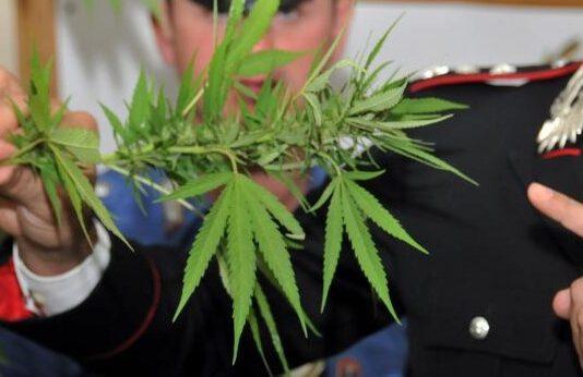 Arrestato spacciatore a Reggio Calabria