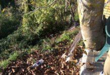 Lamezia, Gianturco (CasaPound): La politica non abbandoni le zone periferiche della città